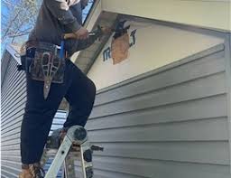 Best Siding Painting and Refinishing  in Meridian Village, CO